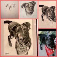 a collage of drawings of a dog with a bandana