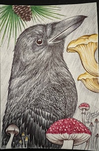 a drawing of a crow with mushrooms and mushrooms