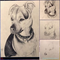 a black and white drawing of a dog