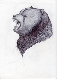 a drawing of a bear with its mouth open