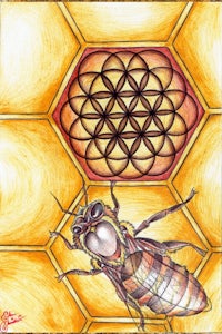 a drawing of a bee in a honeycomb