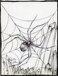 a drawing of a spider on a web